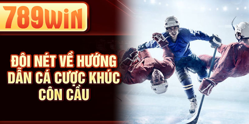 Đôi nét về hướng dẫn cá cược khúc côn cầu