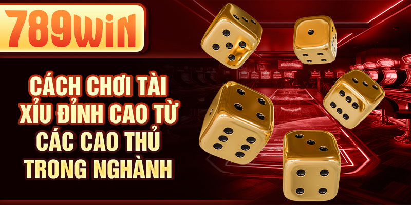 Cách chơi tài xỉu đỉnh cao từ các cao thủ trong nghành