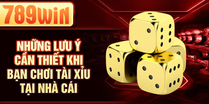 Những lưu ý cần thiết khi bạn chơi tài xỉu tại nhà cái